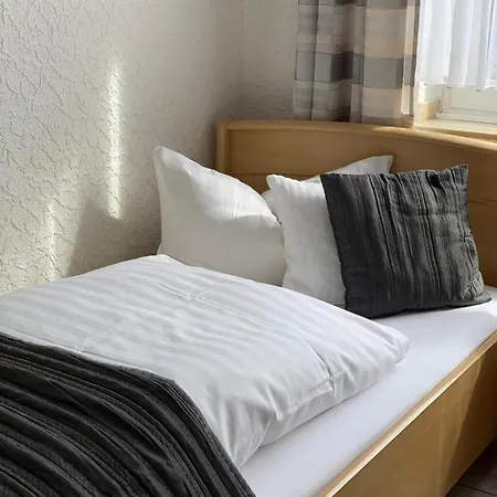 Zur Aue Hotel 3*