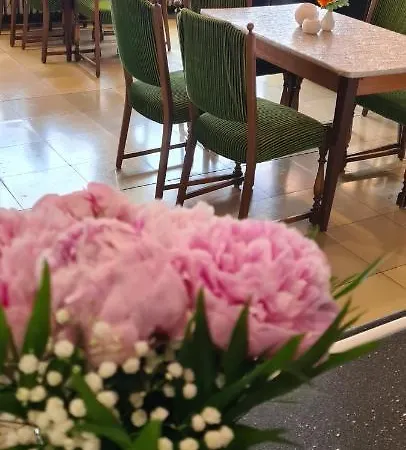 Zur Aue 3* فيسيل