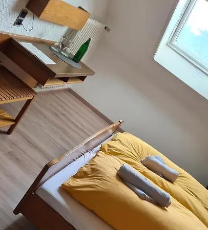 Hotel Zur Aue 3*