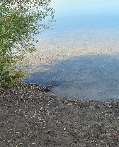 酒店 祖尔奥酒店