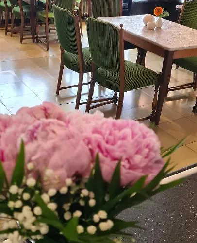 祖尔奥酒店 3* 韦塞尔