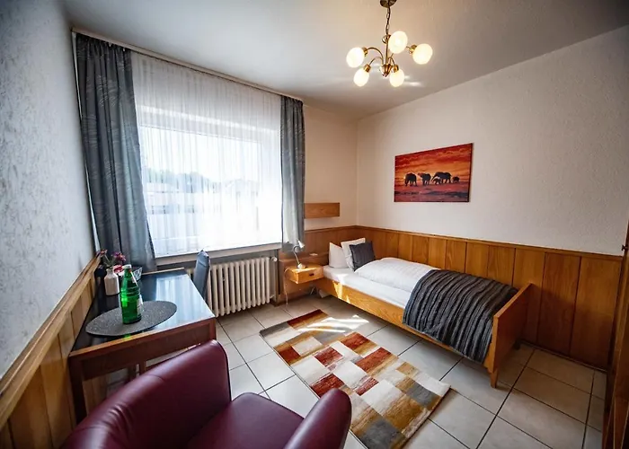 Zur Aue Hotel 3*